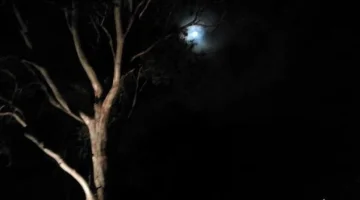 Being homeless doesn’t mean you are a bludger