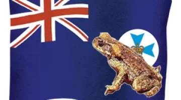 Grateful to be a Bogan Queenslander…