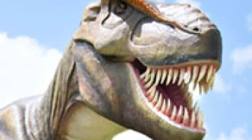 Laughing at Clive Palmer? Let’s see who is laughing in a few
months...