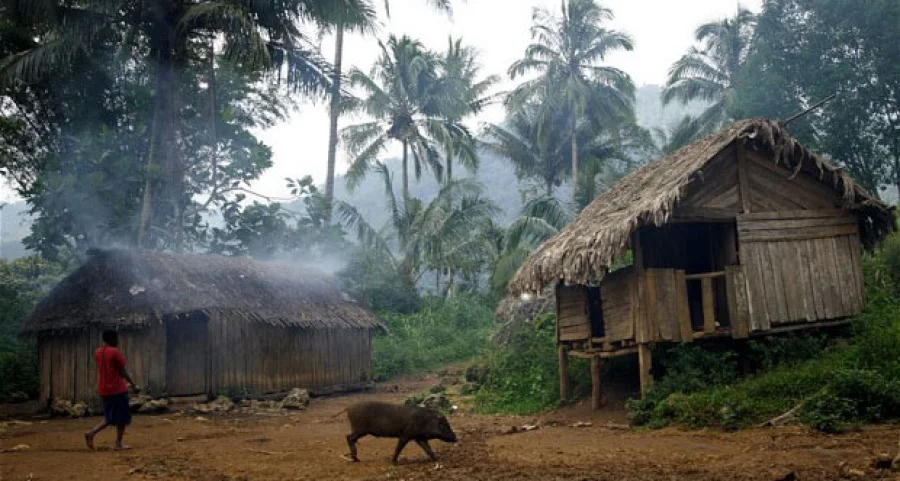 PNG: That's what's going on, nothings fine I’m torn